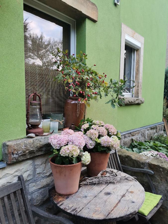 Auszeit Apartment Фрайтал Екстериор снимка