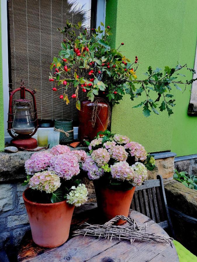 Auszeit Apartment Фрайтал Екстериор снимка
