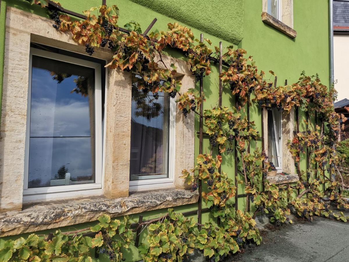 Auszeit Apartment Фрайтал Екстериор снимка